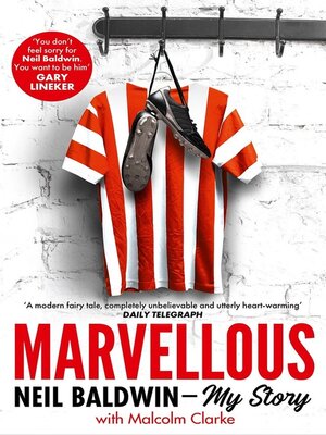 cover image of Marvellous